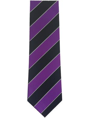 Ernest Bevin College Tie  - Purple